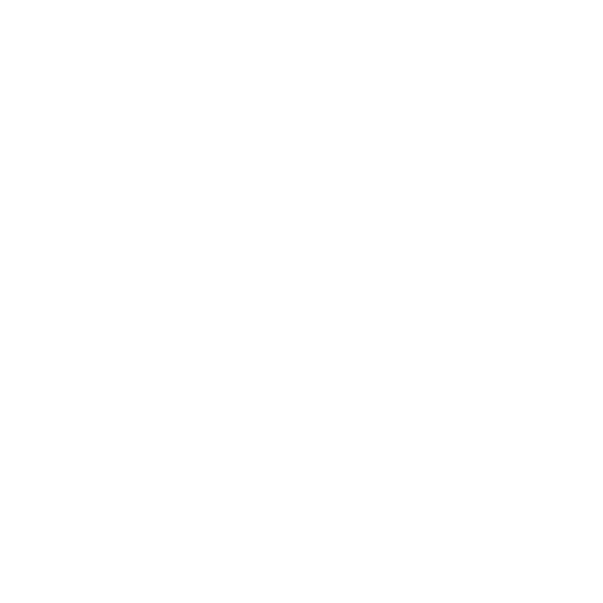 Logo Air Select Company